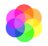 Lintropy